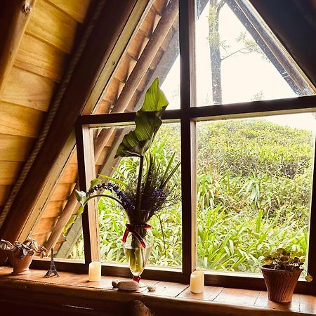 Villa 47 Nuwaraeliya Nuwara Eliya Bagian luar foto