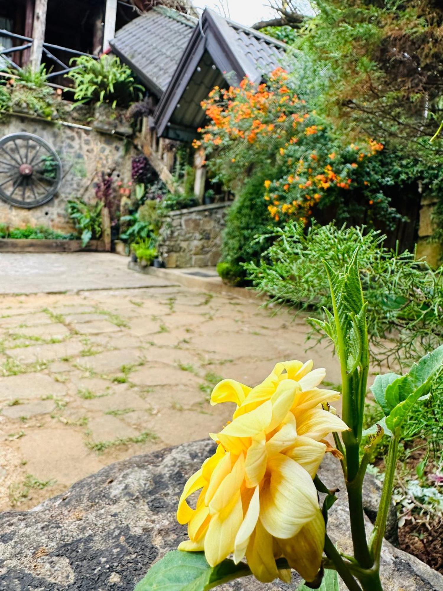 Villa 47 Nuwaraeliya Nuwara Eliya Bagian luar foto