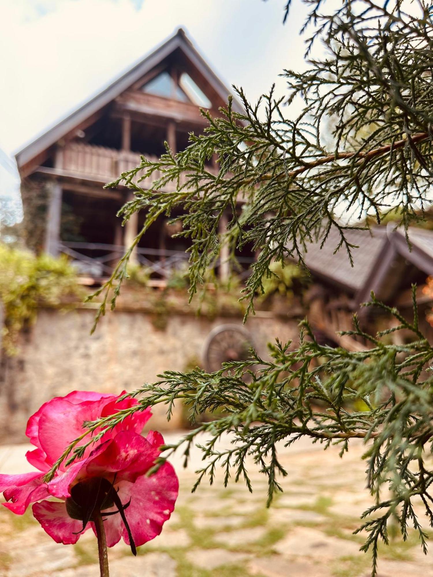 Villa 47 Nuwaraeliya Nuwara Eliya Bagian luar foto