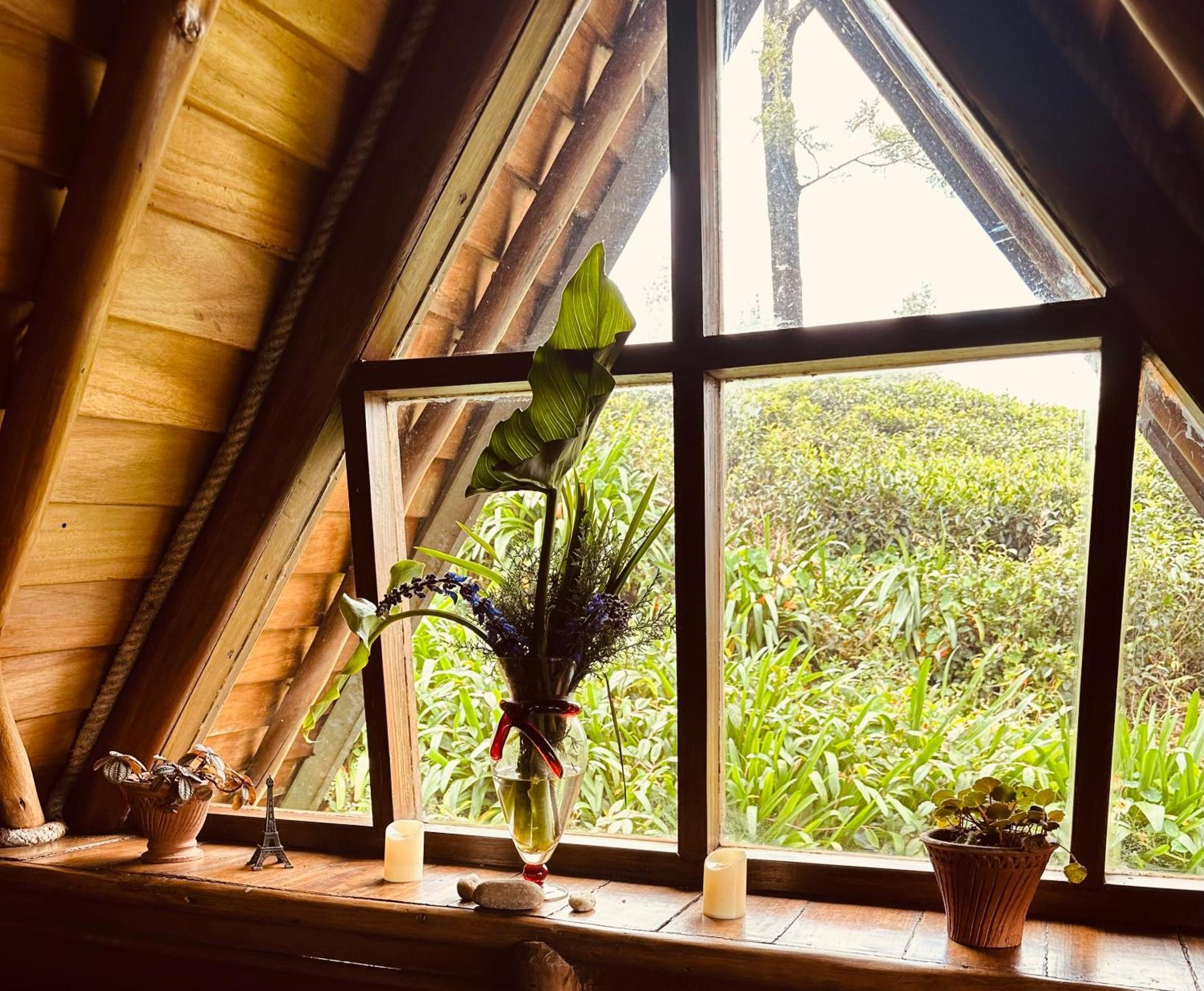 Villa 47 Nuwaraeliya Nuwara Eliya Bagian luar foto
