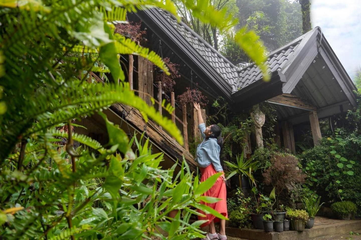 Villa 47 Nuwaraeliya Nuwara Eliya Bagian luar foto