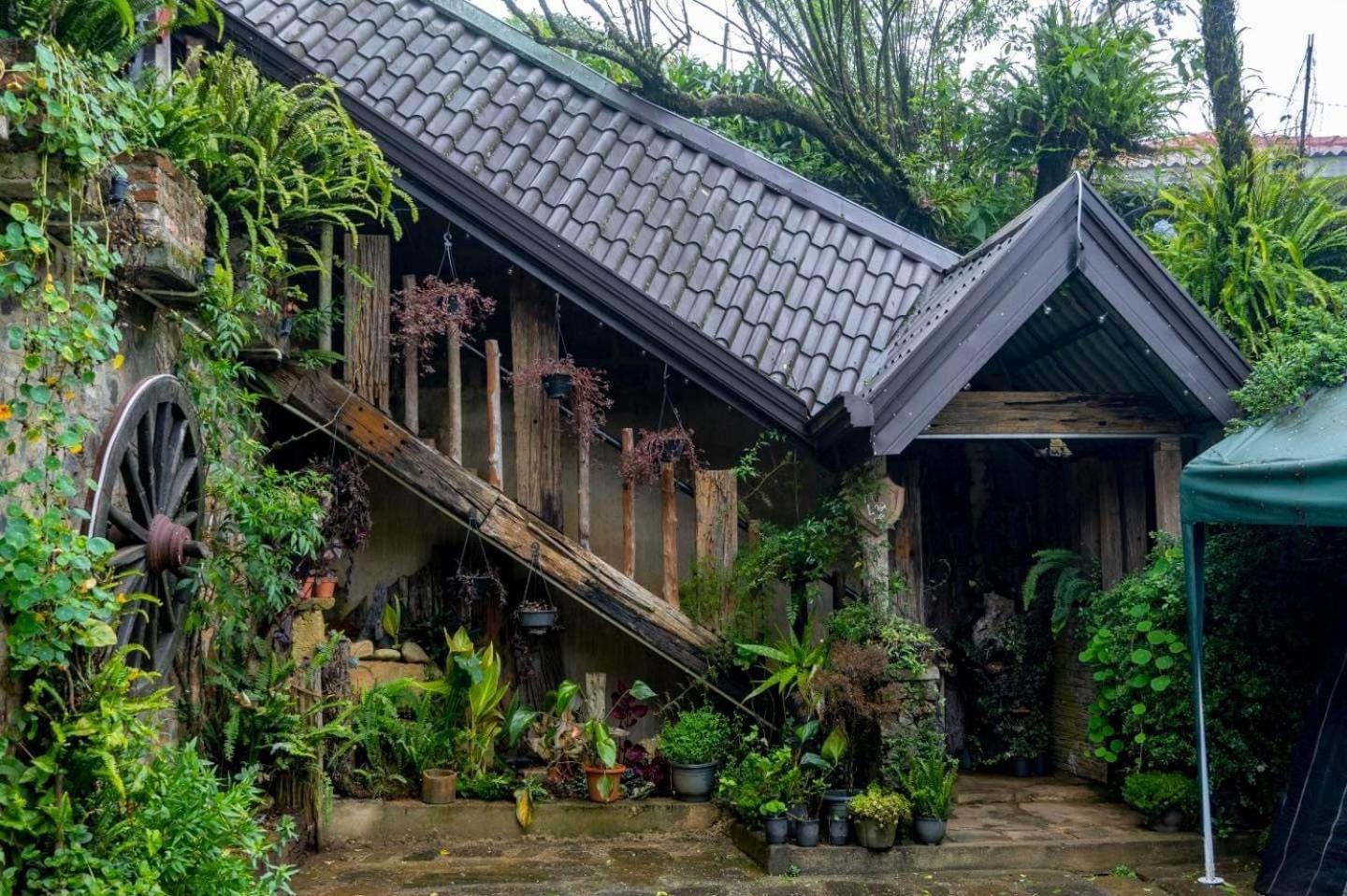 Villa 47 Nuwaraeliya Nuwara Eliya Bagian luar foto